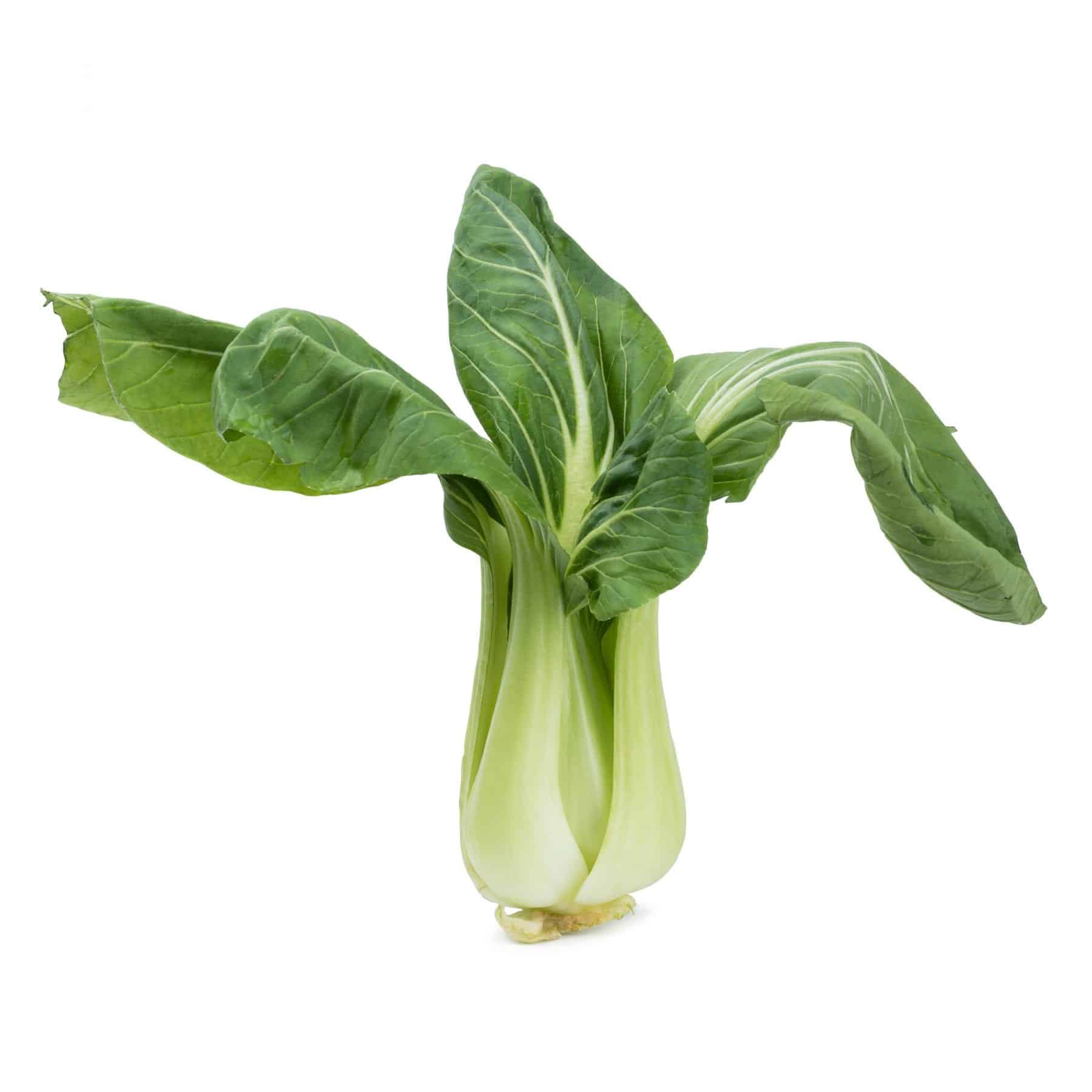 pak-choi-x-10-m-hughes-wholesaler