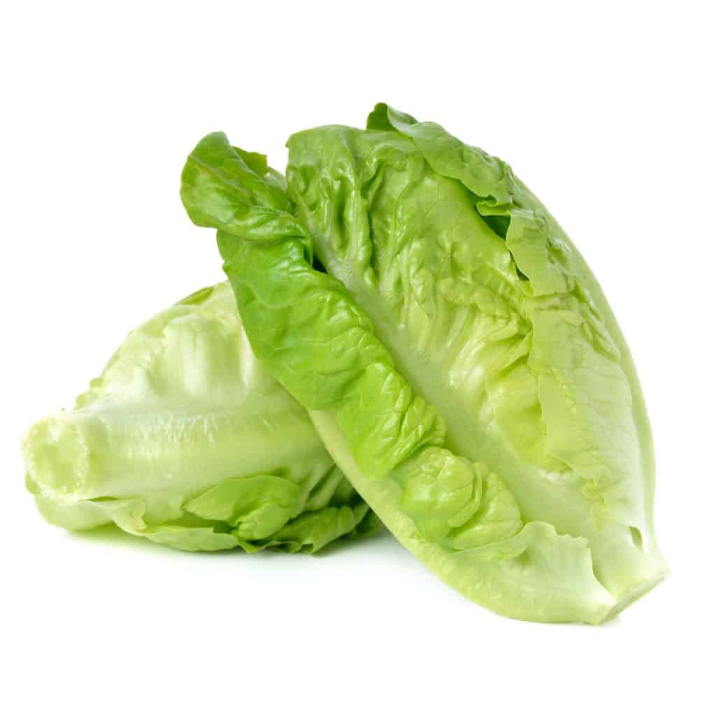 Cos Lettuce x 10 M Hughes Wholesaler