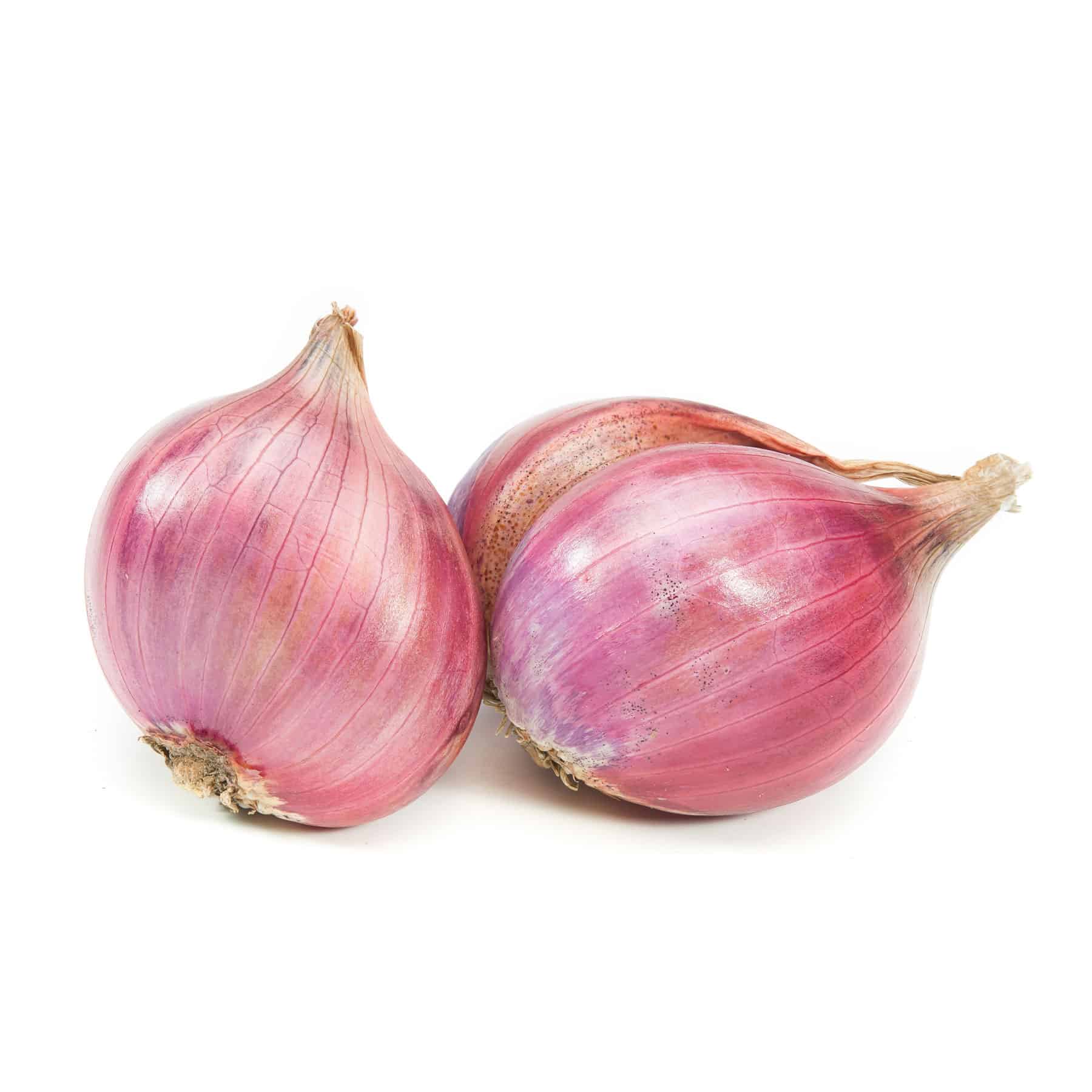 Round Shallots 4k - M Hughes Wholesaler